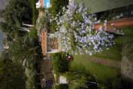 appartamento salvia