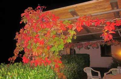 appartamento corbezzolo