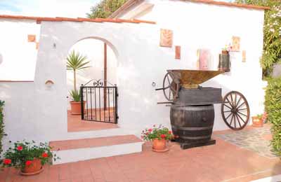 appartamento olivo