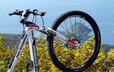 Biciclette