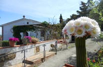 colori del casale