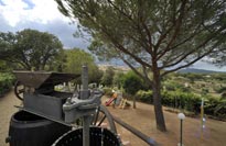museo di famiglia